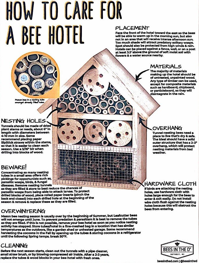 How to care for a bee hotel